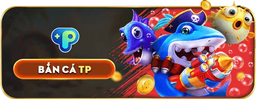 Tổng quan về điều khoản dịch vụ của KJC